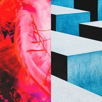 Kasuka na Hana (OP Theme to Hell's Paradise: Jigokuraku Season 2)