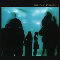 Treno Fadasma - Live