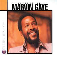 I Heard It Through The Grapevine - Single Version