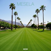 Mesela