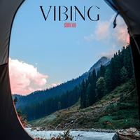 Vibing