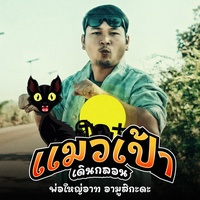แมวเป้าเดินกลอน