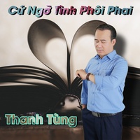 Cứ Ngỡ Tình Phôi Phai