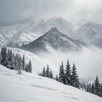 Blizzard