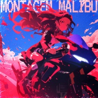 MONTAGEM MALIBU (Slowed)