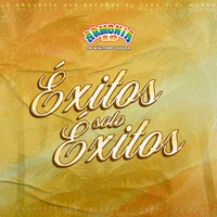 Me Emborracho por Tu Amor