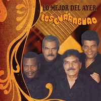 Camarada