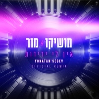 אין לי ידידות - Yonatan Segev Remix
