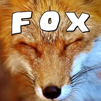 Fox Itself