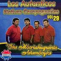 Che mboriahuguinte Añemboyke