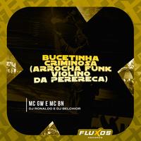 Bucetinha Criminosa (Arrocha Funk Violino da Perereca)