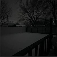 Nights