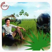 សន្យាគ្រាមុន
