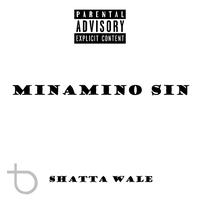 Minamino Sin