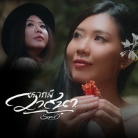 หากมีวาสนา