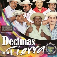 Pichón de Mono
