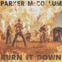 Burn It Down - Radio Edit