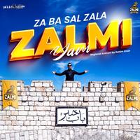 Peshawar Zalmi Regional Anthem 2025