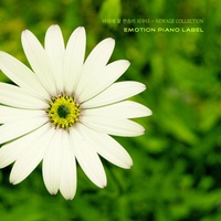 White Morning