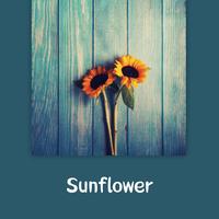 Consolation of Longing