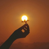Shine Like a Star