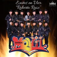 El Toro Moro - En Vivo