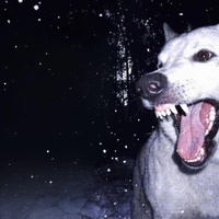 to hear your voice again