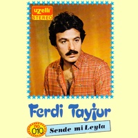 Seni Dilendim