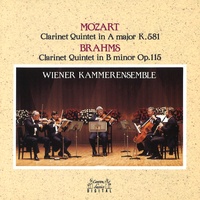 Mozart : Clarinet Quintet in A Major, K.581 ; 1. Allegro