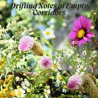 Drifting Notes in Empty Corridors