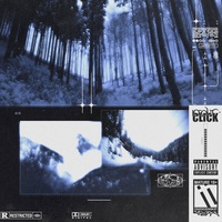 Sound image