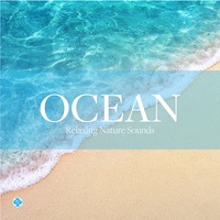 Soothing Ocean Sounds for Meditaition (Nature Sound)