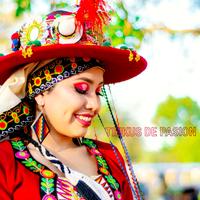 Tinkus de Pasion