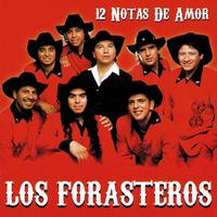 Me Puedes De Punta A Punta