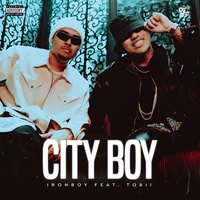 City Boy - Hook