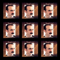 Ahu Bakışlım