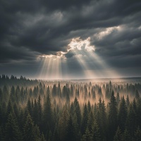 Scandinavian Taiga 528 Hz