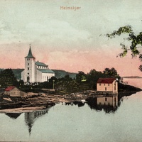 Longarma genser
