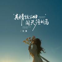 真情拉不回闯天涯的马 - DJ阿本版