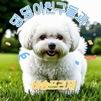 댕댕이 친구들과 비숑프리제
