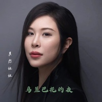 乌兰巴托的夜