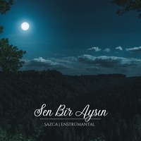 Sen Bir Aysın