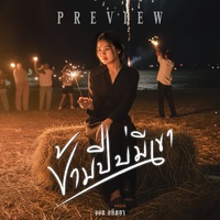 ข้ามปีบ่มีเขา - Preview