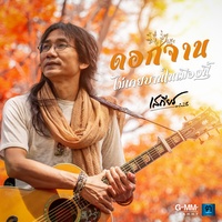 ดอกจานไม่เคยบานในเมืองนี้