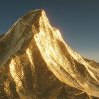 Golden Fields