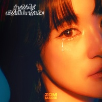 ถ้าคนจะใช่ (มันใช่ไปนานแล้ว)