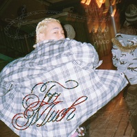 Too Much (feat. MIKADO)