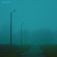 experience (trimmed)