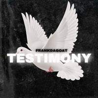 Testimony