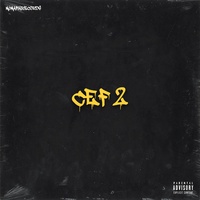 CEF 2